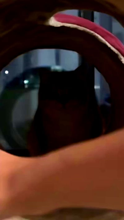 itsilanosh itsilanosh archive video