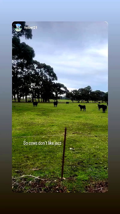 piper.jaylen piper.jaylen archive video