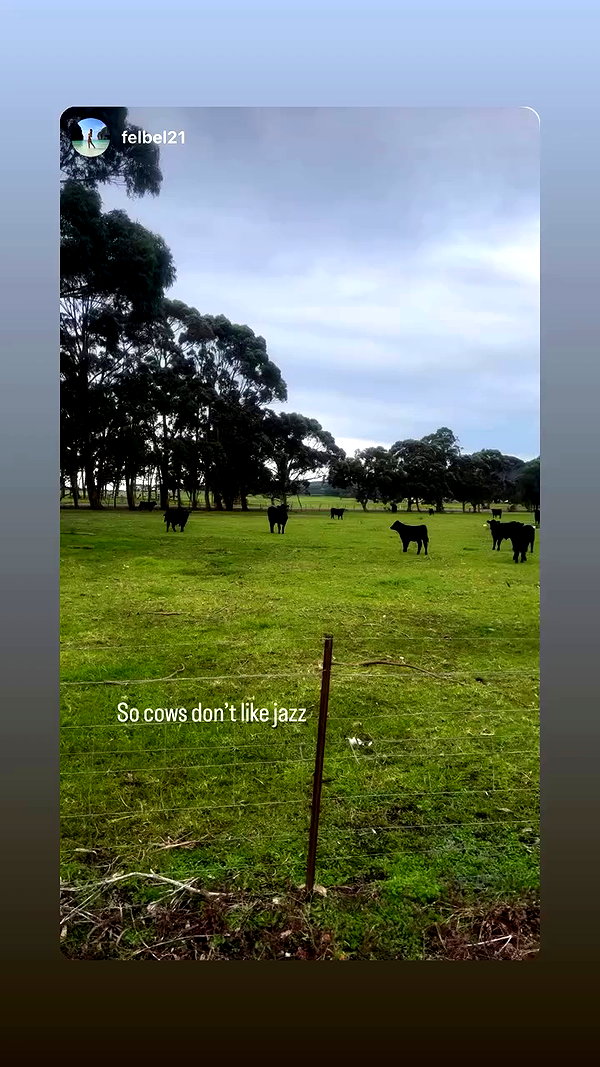 piper.jaylen archive video preview