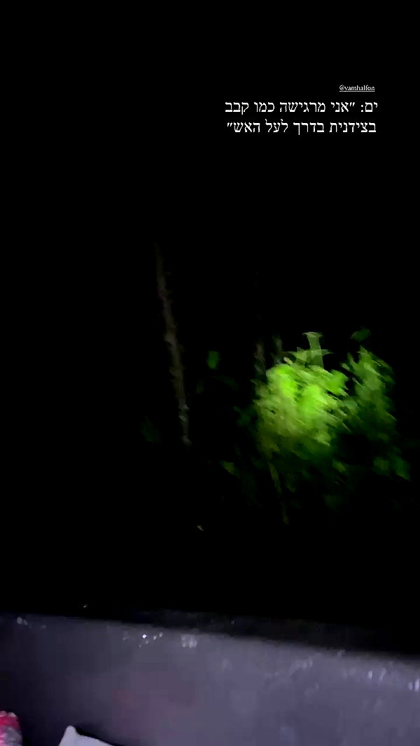 shayoded archive video preview