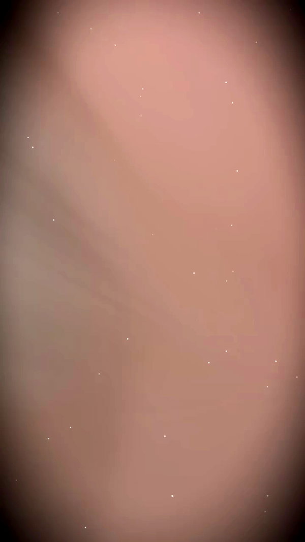 zunxingnhat archive video preview