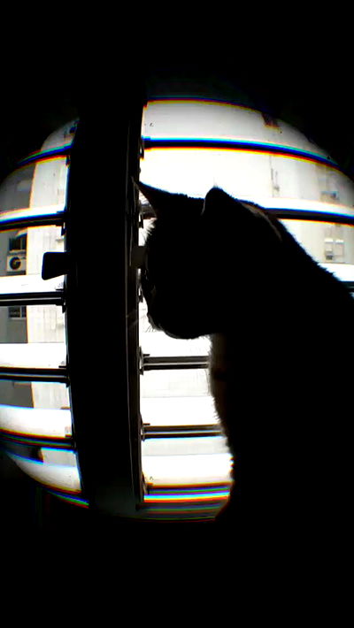 neomiconrad neomiconrad archive video