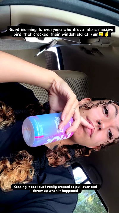 edin.karyn edin.karyn archive video