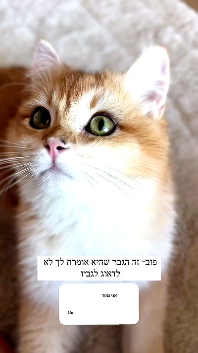 itsilanosh itsilanosh archive video