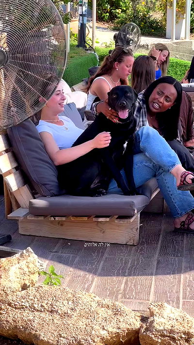 talweisswasser talweisswasser archive video