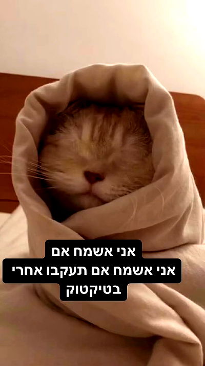 lila.garnik lila.garnik archive video