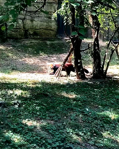 dakotabell05 dakotabell05 archive video