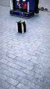 omer._shalom Altpins Profile Picture