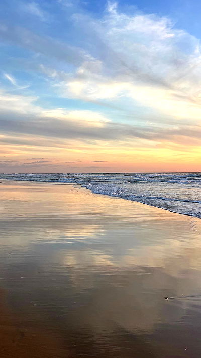 adellepisar adellepisar archive video