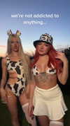 aleksandraverse Altpins Profile Picture