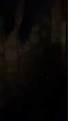 its.itay__ Altpins Profile Picture