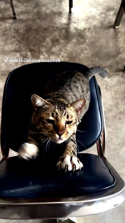 oqr0_ oqr0_ archive video