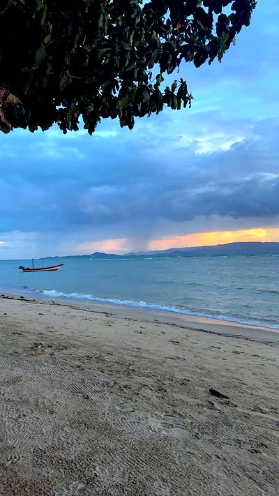 kesemgreenyer kesemgreenyer archive video