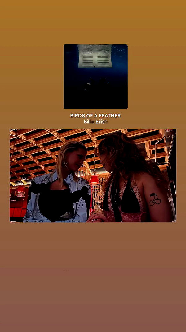 v.qx archive video preview