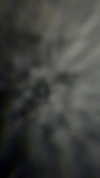 emelye.ender Altpins Profile Picture