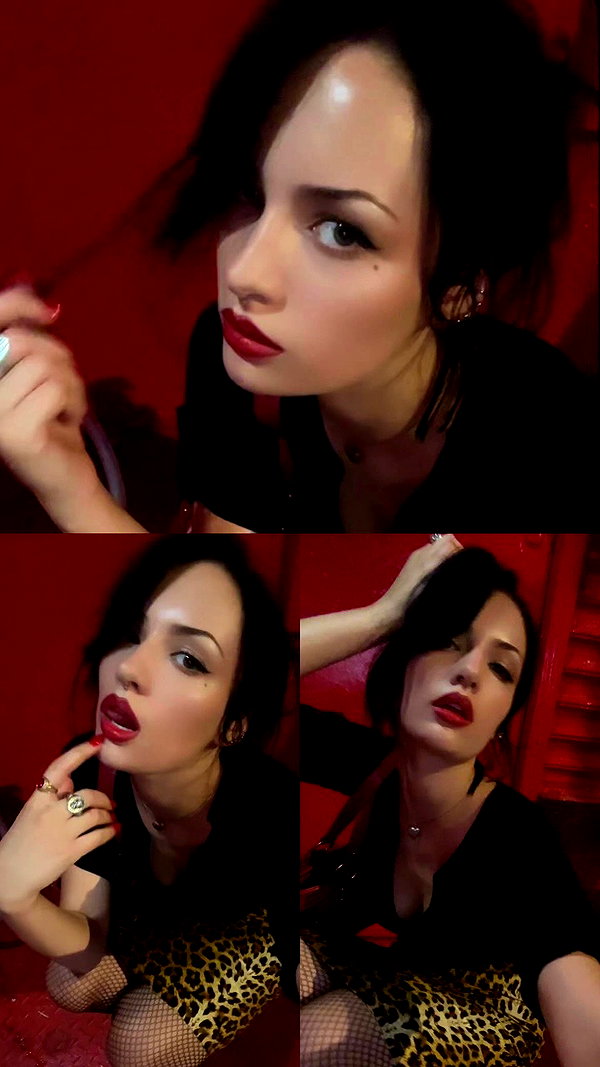 lilarosepalaza archive video preview