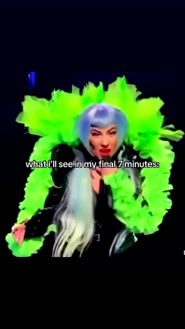 _koolkat__ archive video preview