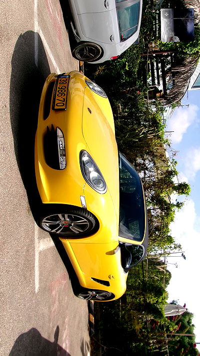 simp_for_cats_ simp_for_cats_ archive video