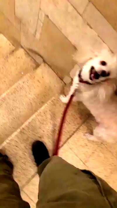 feelbetterinmysweater feelbetterinmysweater archive video