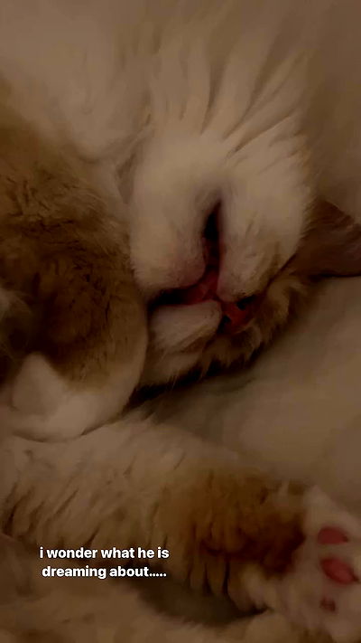 iheartpidge iheartpidge archive video