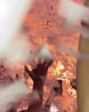 romy_gavriel_2 Altpins Profile Picture