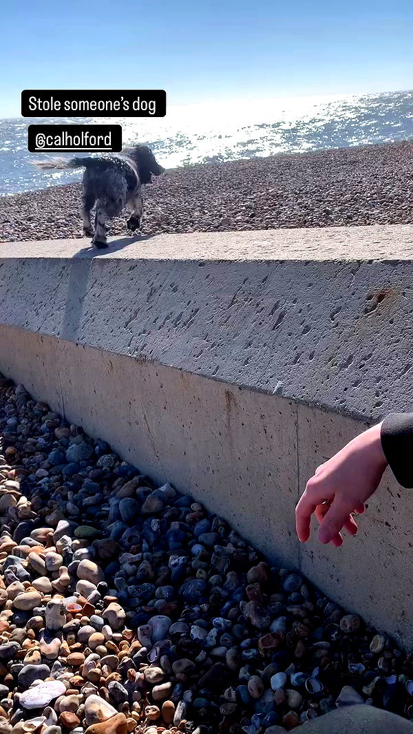 mayamorgannnnnn archive video preview