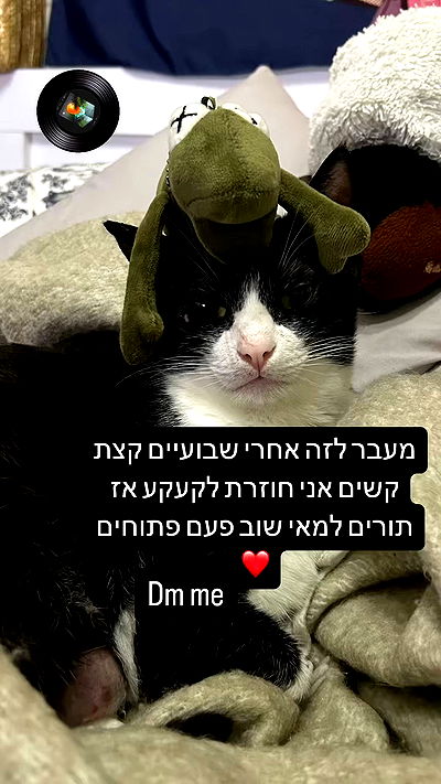 _wizardmidget_ _wizardmidget_ archive video