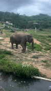 lior_lotati Altpins Profile Picture