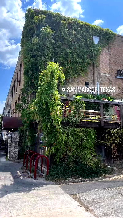 tatum.ricee tatum.ricee archive video