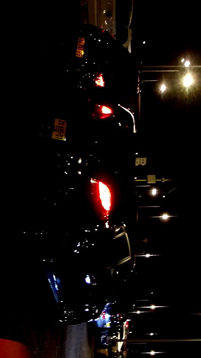 simp_for_cats_ simp_for_cats_ archive video