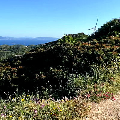 yam_adler yam_adler archive video