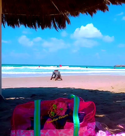 yam_adler yam_adler archive video