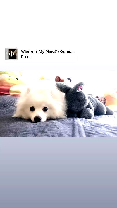 romy_ayalla_lavi romy_ayalla_lavi archive video