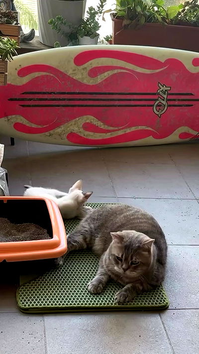 natalllluli natalllluli archive video