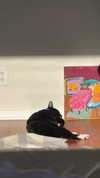 sydney_melman Altpins Profile Picture