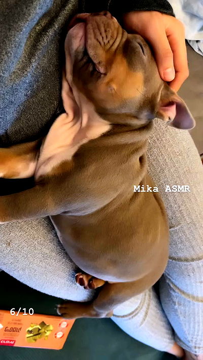 kesemgreenyer kesemgreenyer archive video