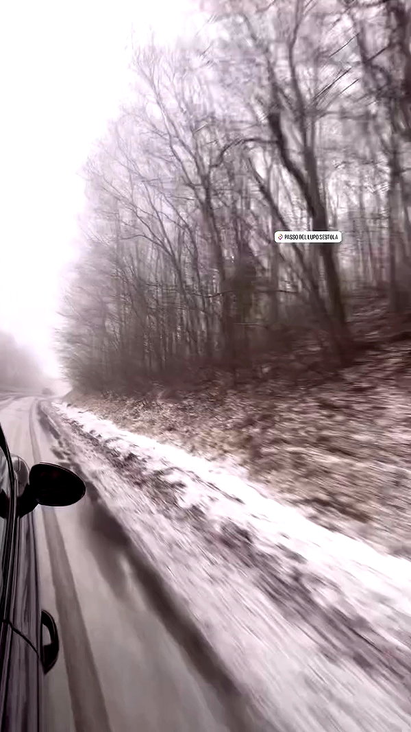 michal.azulay2 archive video preview