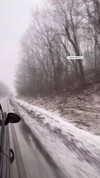 michal.azulay2 Altpins Profile Picture