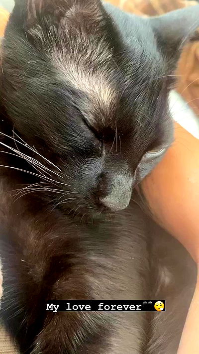 rebecka_tsadok rebecka_tsadok archive video