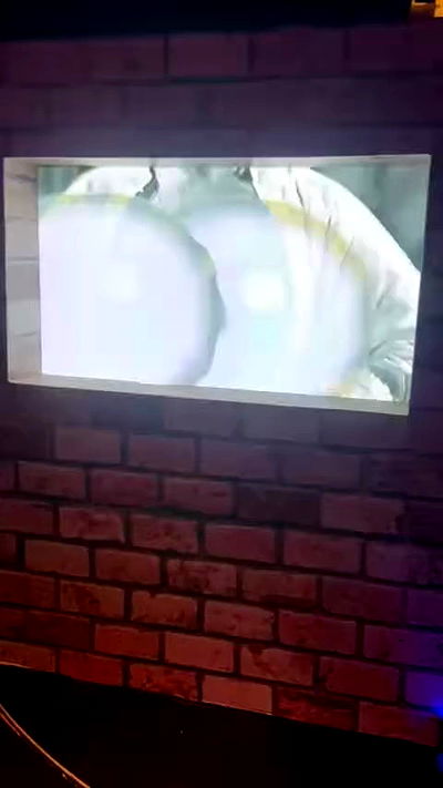 shayli_or shayli_or archive video