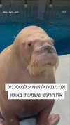 milka_guberman Altpins Profile Picture