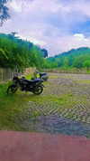 iamrohanvibes Altpins Profile Picture