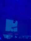 eden_gadamo__ Altpins Profile Picture