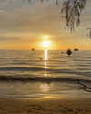 dror_morad Altpins Profile Picture