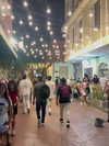 isabela_quintero25 Altpins Profile Picture