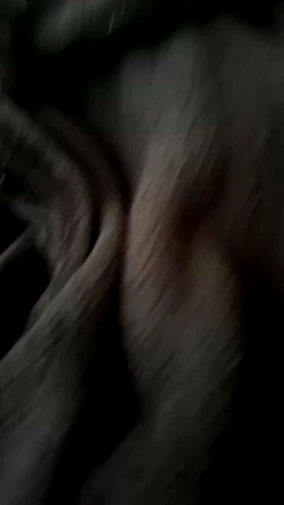 little.warren_ little.warren_ archive video