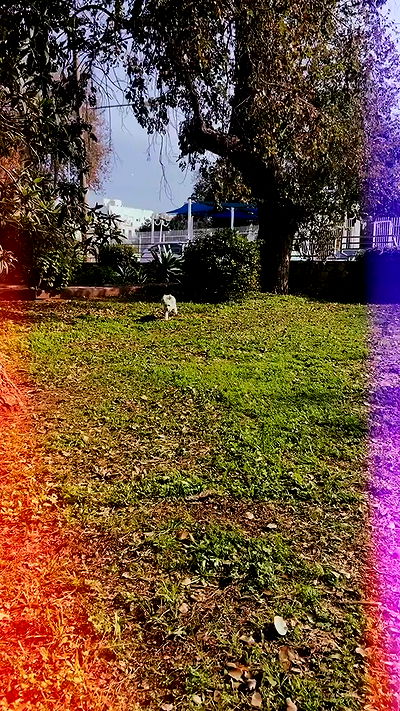 feelbetterinmysweater feelbetterinmysweater archive video