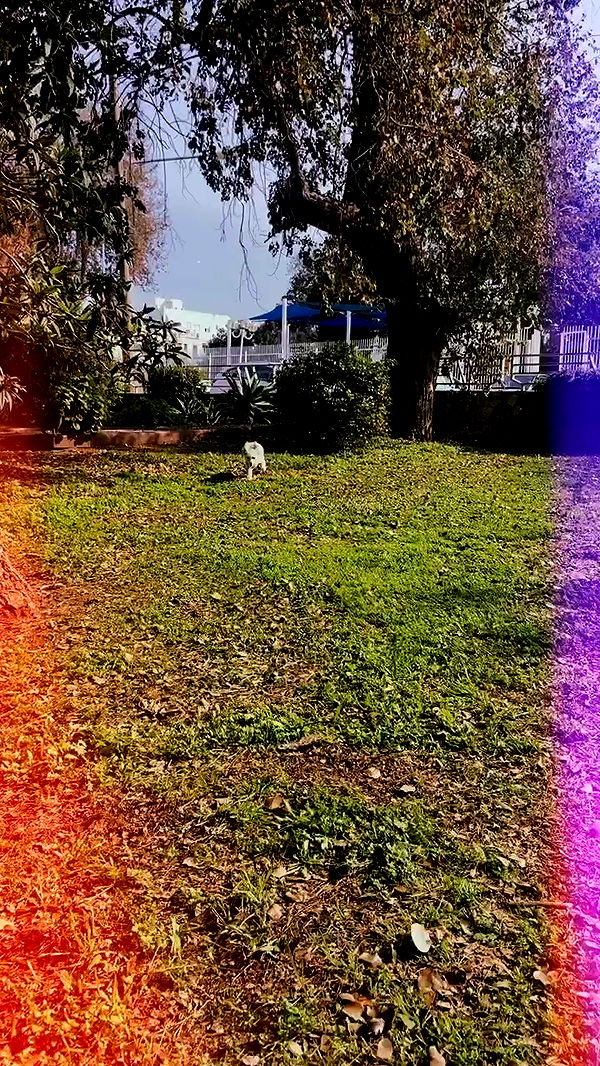 feelbetterinmysweater archive video preview