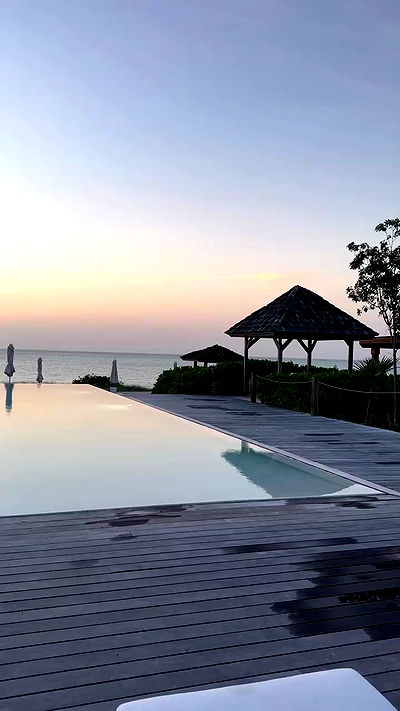 carolinezalog carolinezalog archive video