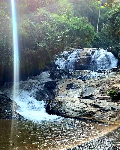 yam_adler yam_adler archive video